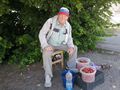 В Буинске в этом году урожай клубники порадовал. Где можно попробовать  сладкую ягоду?