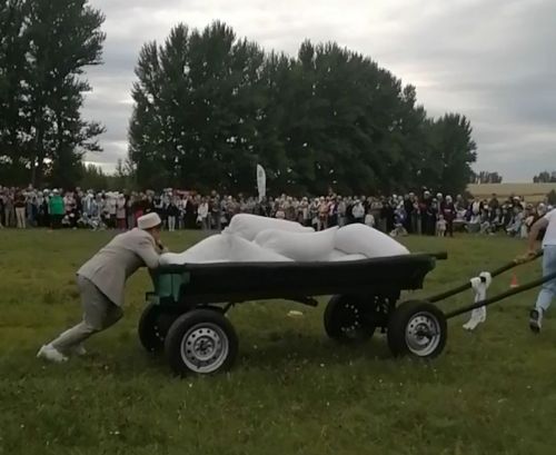 Все тело до сих пор ноет», — признается Юнус Мифтахетдинов,  из Буинска, который на соревнованиях с легкостью тянул телегу, груженую десятью мешками пшеницы