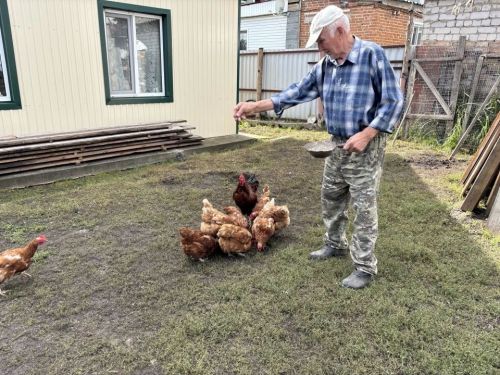 Жителям Буинского района необходимо зарегистрировать домашних птиц в системе «Хорриот“