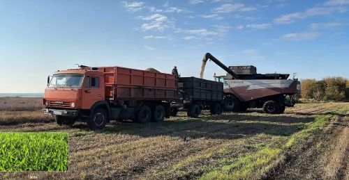 В Буинском районе подведены итоги уборочной кампании