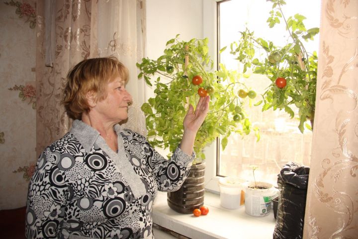 Жительница Буинского района Лидия Федотова: «У меня созрели помидоры»