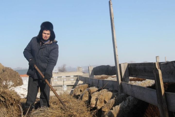 Сайдаш Мусин из Буинска: "плюсы" и "минусы" овцеводства