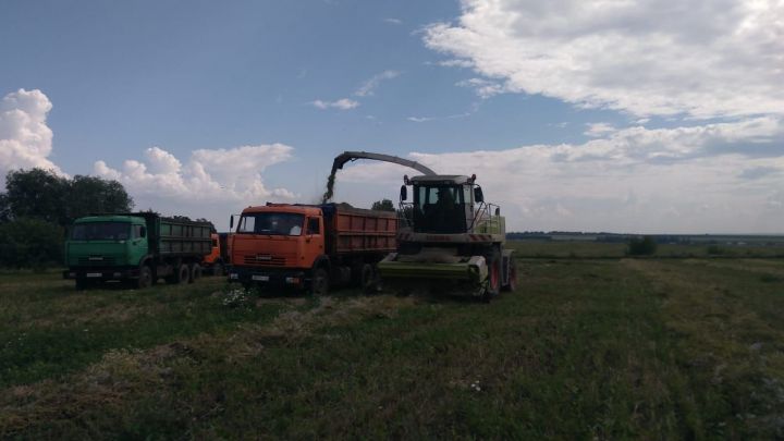 В Буинском районе в Степановском отделении агрофирмы "Дружба" продолжается заготовка кормов