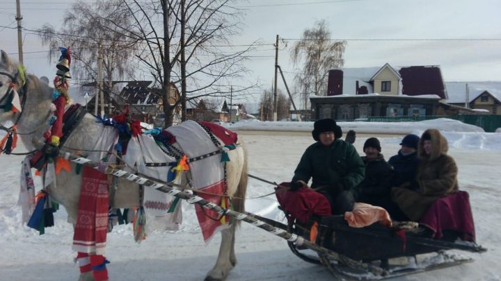 По улицам Буинска ездит украшенная лошадиная повозка (+фото)