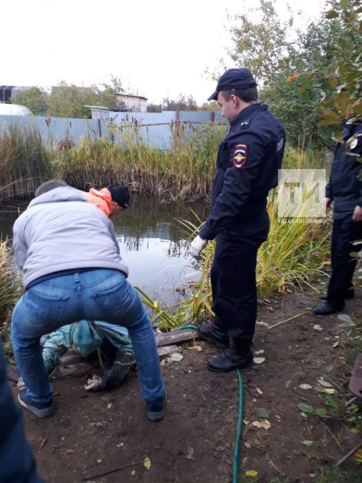 В РТ в пруду в метре от берега нашли тело женщины