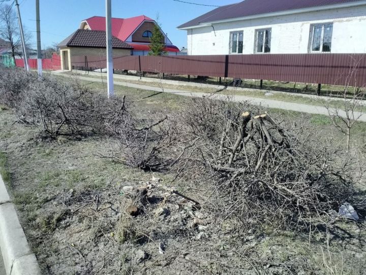 В Буинске на перекрестках убирают деревья, создающие опасность для водителей (+ фото)