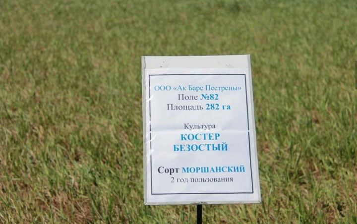 Президент Татарстана ознакомился с ходом весенне-полевых работ в Пестречинском районе