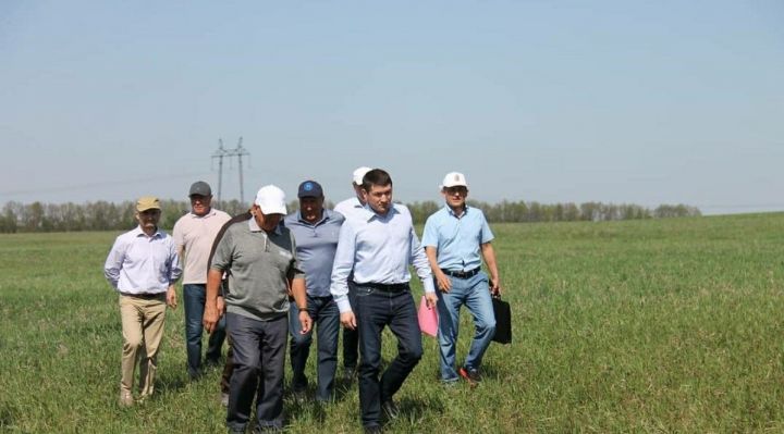 Президент Татарстана ознакомился с ходом весенне-полевых работ в Пестречинском районе