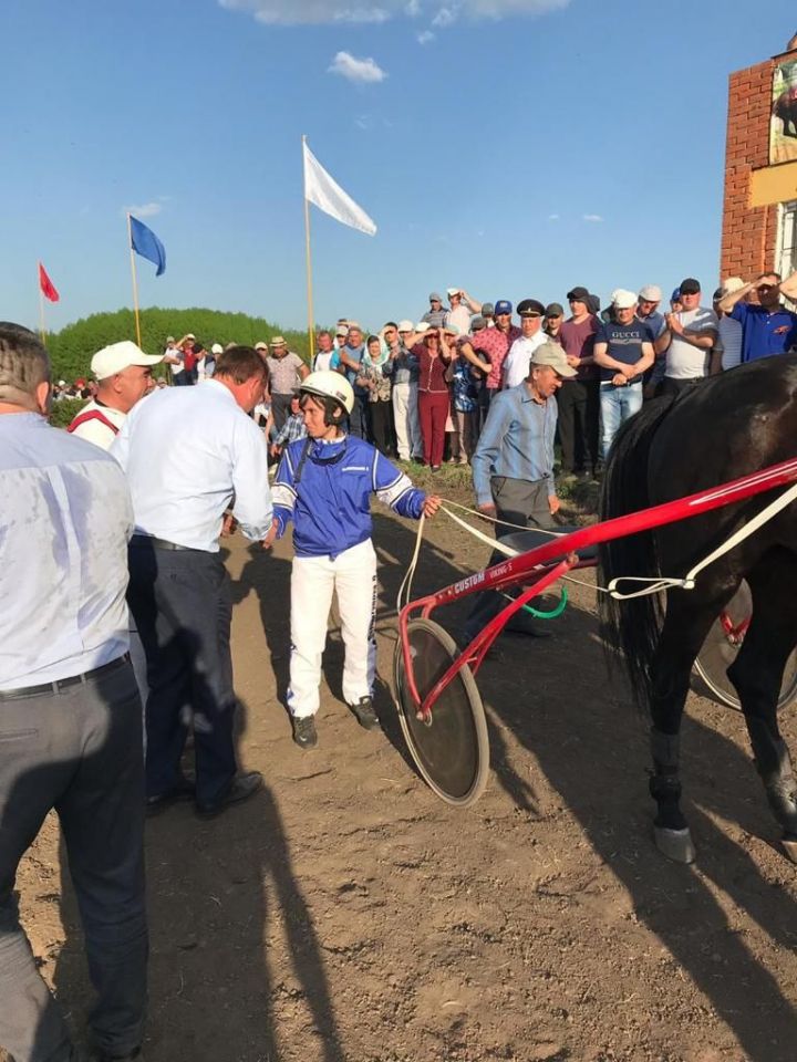 Быстрее ветра - Диля Галимзянова из Буинска на жеребце Винтер Лок стала победительницей конных скачек в Чувашии (ФОТО, ВИДЕО)