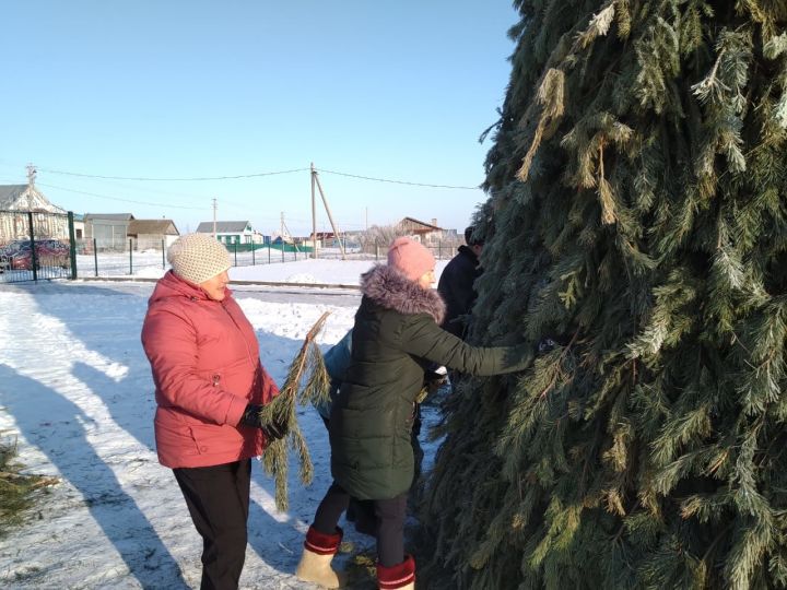 В деревне Вольный Стан Буинского района установили новогоднюю ёлку