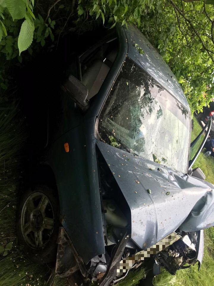 Сегодня в Буинске легковой автомобиль врезался в дерево, пострадал водитель (+фото)