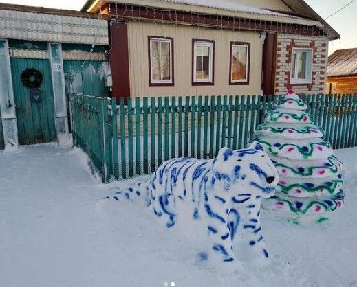 Житель  Буинского района возле своего дома создал настоящую новогоднюю сказку (фото)