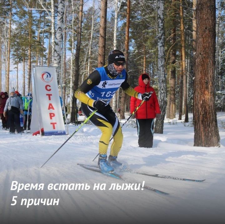 Советы от Всероссийского физкультурно-спортивного комплекса «Готов к труду и обороне» (ГТО) – 5 причин чтобы встать на лыжи