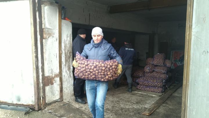 В Буинский район доставлена элитные семяна для занимающихся выращиванием на территории сельских поселений картофеля хозяйств  (фоторепортаж)