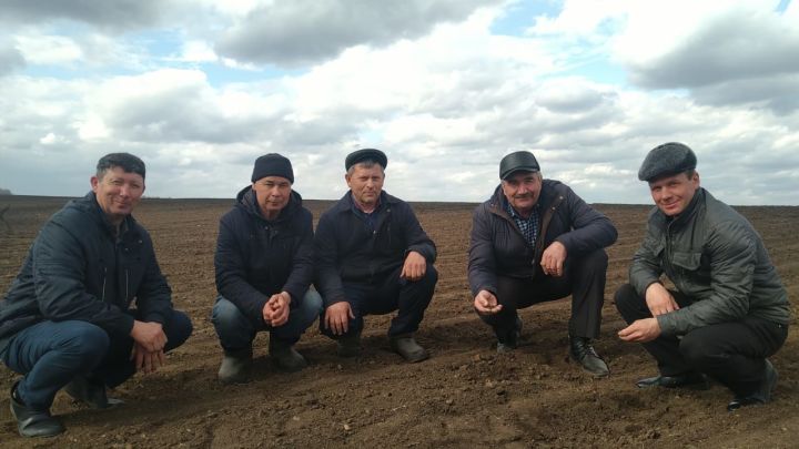 Глава муниципального района Ранис Камартдинов держит под контролем ход весенних полевых работ в агрофирмах, фермерских хозяйствах (фото)