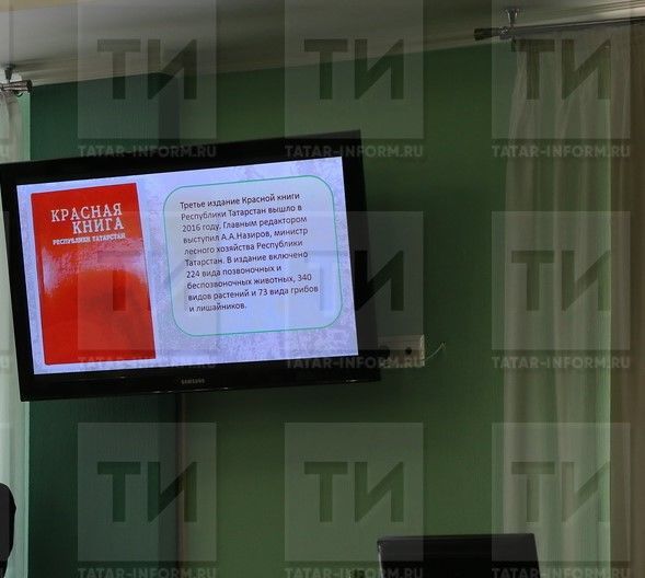 Ученики 2-3 классов из Татарстана будут вести электронные экодневники