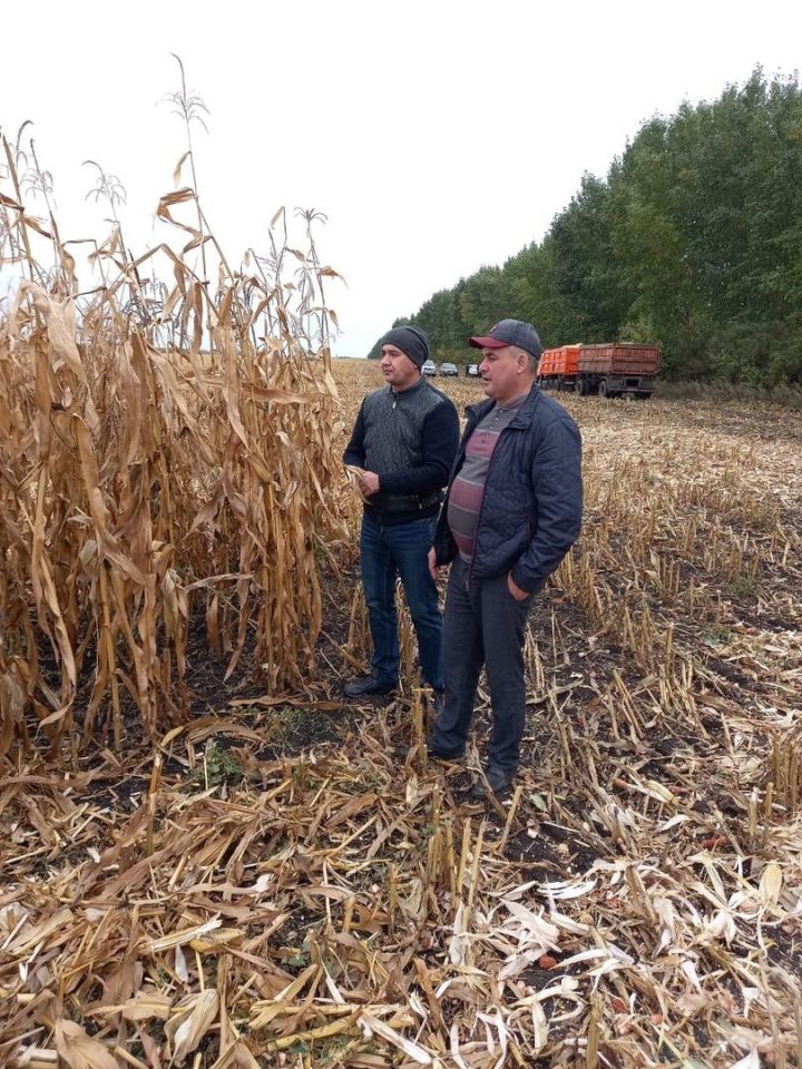Ранис Камартдинов проверил как идёт уборка урожая в хозяйствах района