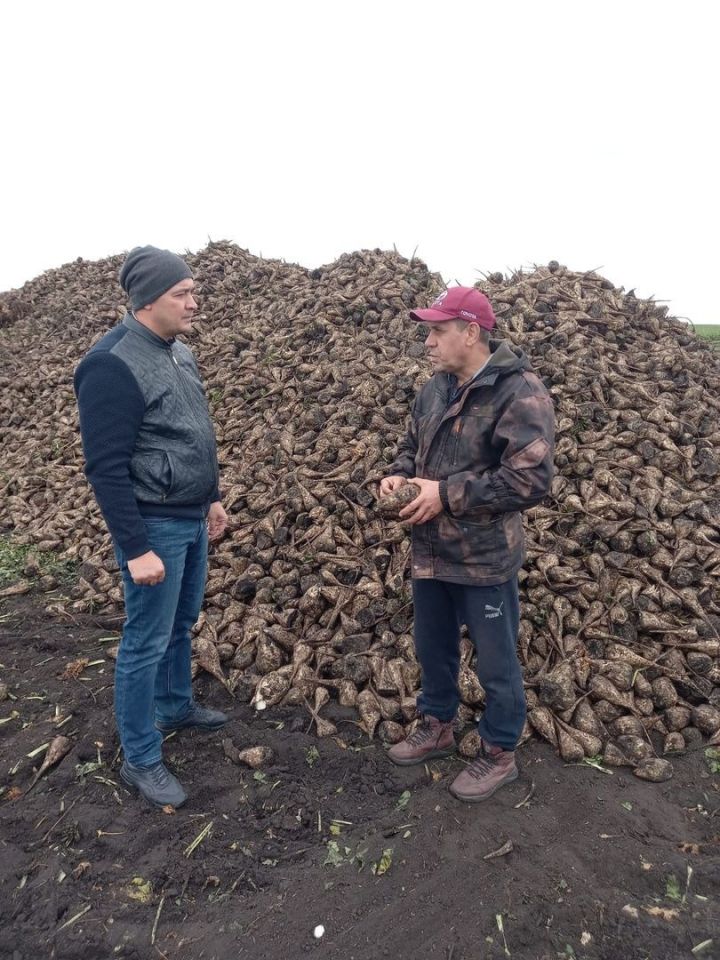 Ранис Камартдинов проверил как идёт уборка урожая в хозяйствах района