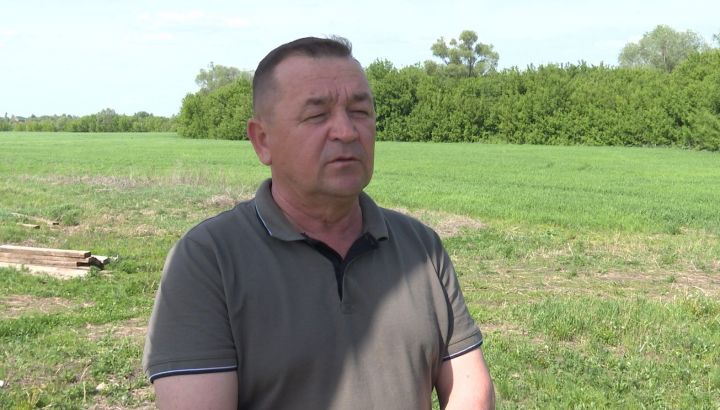 Проект хуплау тапса,  Буада пляж була
