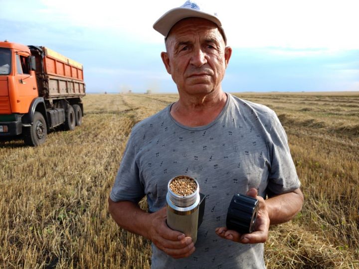 Комбайнеры каких хозяйств лидируют за последние пять дней? (фоторепортаж)