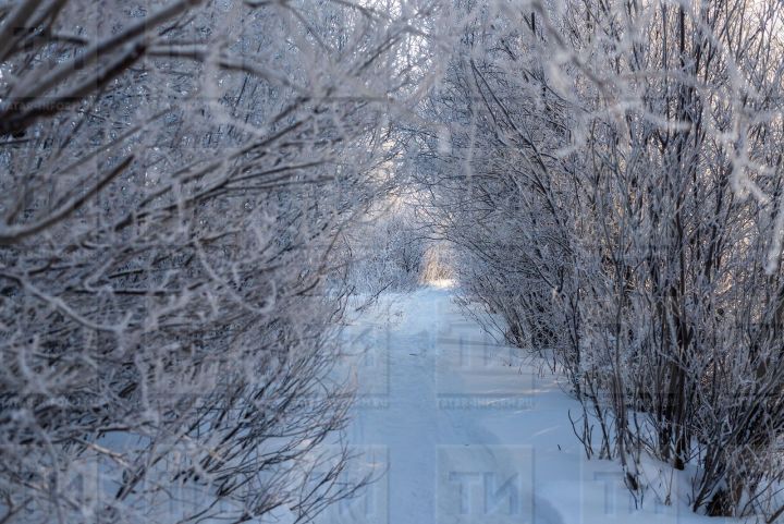 В Татарстане ожидаются небольшой снег и ветер