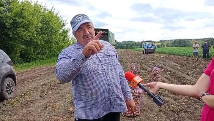 Фермер из Буинского района: «Картофель то есть, только цены на него нету».
