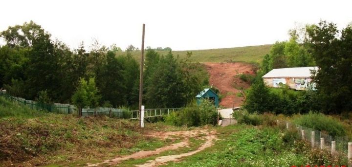 В Буинском районе кур и уток от нападения  хорьков спасает  радио