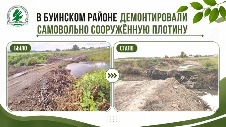В Буинском районе  ликвидировали самовольную плотину