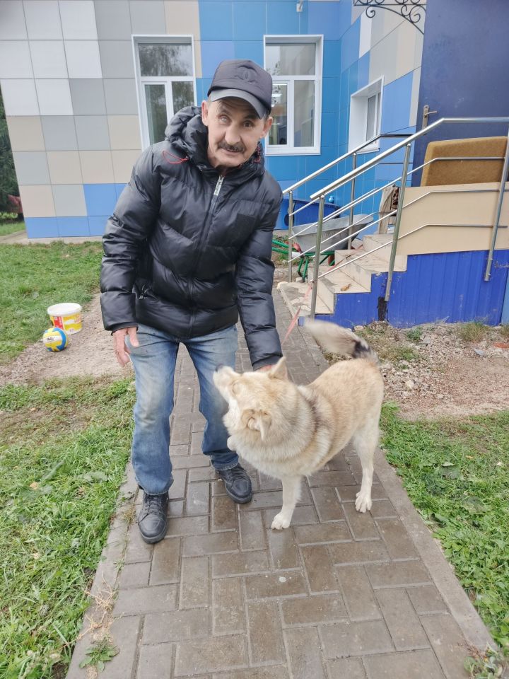 Ульяновскның ДАИ хезмәткәре Буадан Тузик атлы этне үткәрми булдыра алмаган