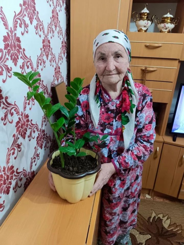 86-летняя Фазиля Гарафутдинова из Буинского района : «Я видела, как Шариф Хусаин создавал знаменитую пьесу «Эни килде»