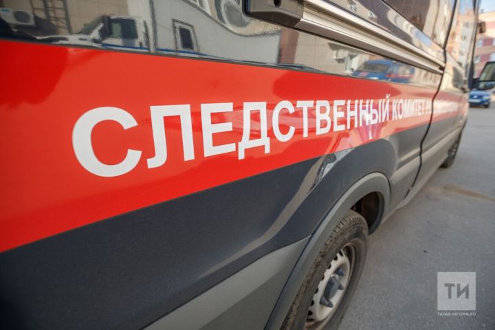 Дело татарстанца, пытавшего раскалённым утюгом супругу, направлено на рассмотрение суда