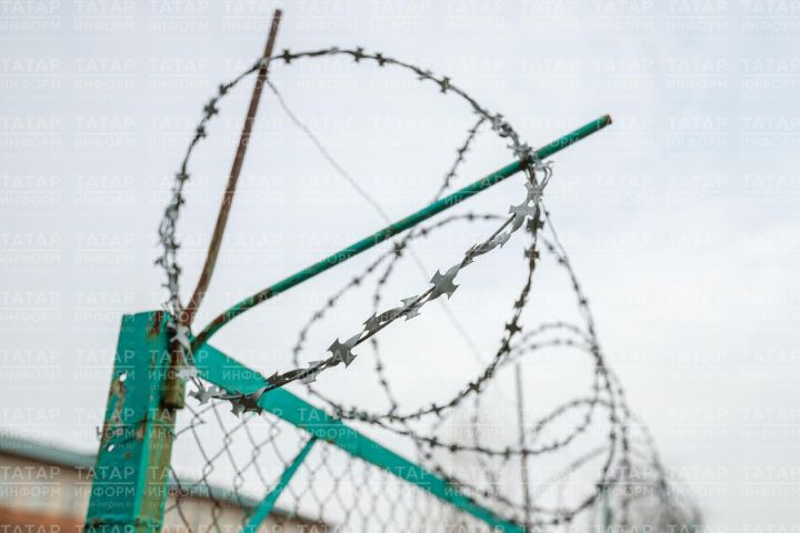 Женщина из Буинского района за покушение на убийство  лишилась свободы на 4 с половиной года