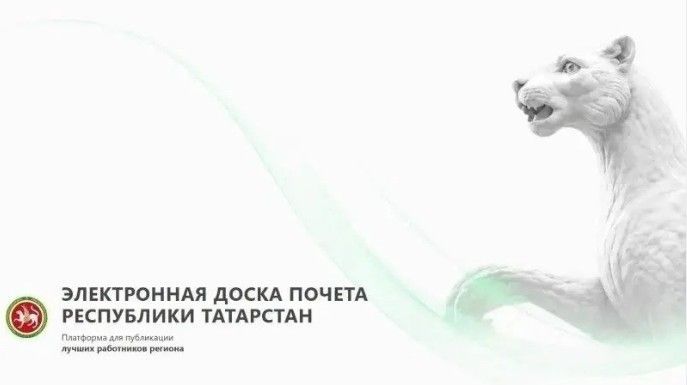 Буинцы, вошедшие на электронную доску почета Республики Татарстан