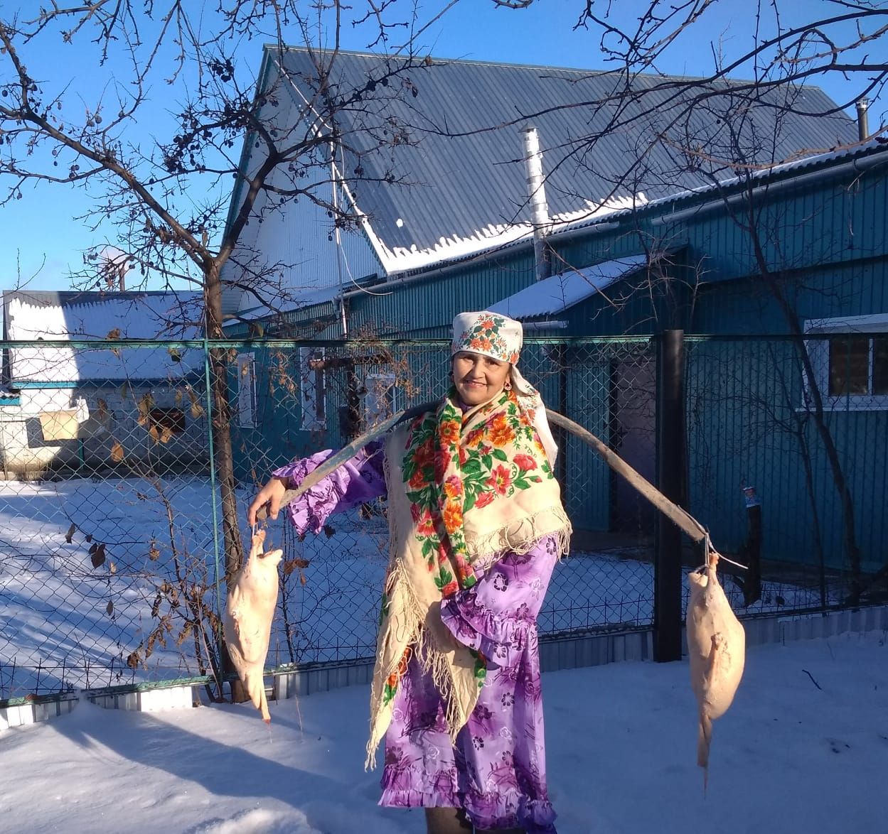 Сегодня сотрудники "Буинск-информ" стали свидетелями праздника гусиного пера в семье жителей Буинска &nbsp;Идрисовых.