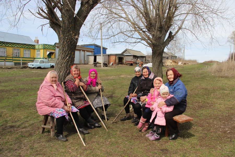 Погода в отраде