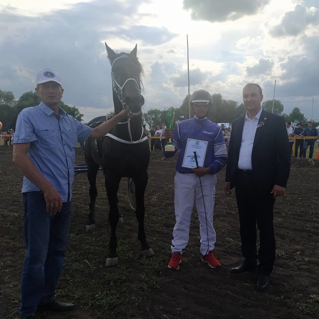 Стал известен абсолютный чемпион конных скачек в Буинском Сабантуе