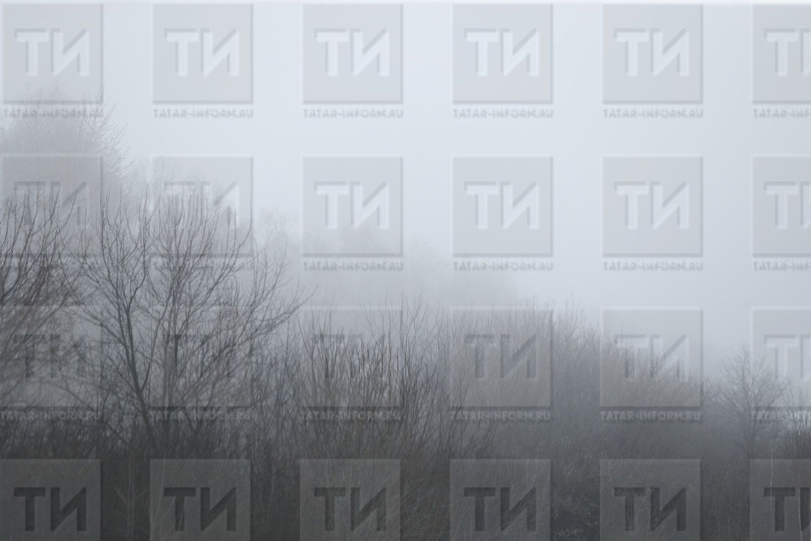 Ноябрь в Татарстане начнется с тумана и аномального тепла
