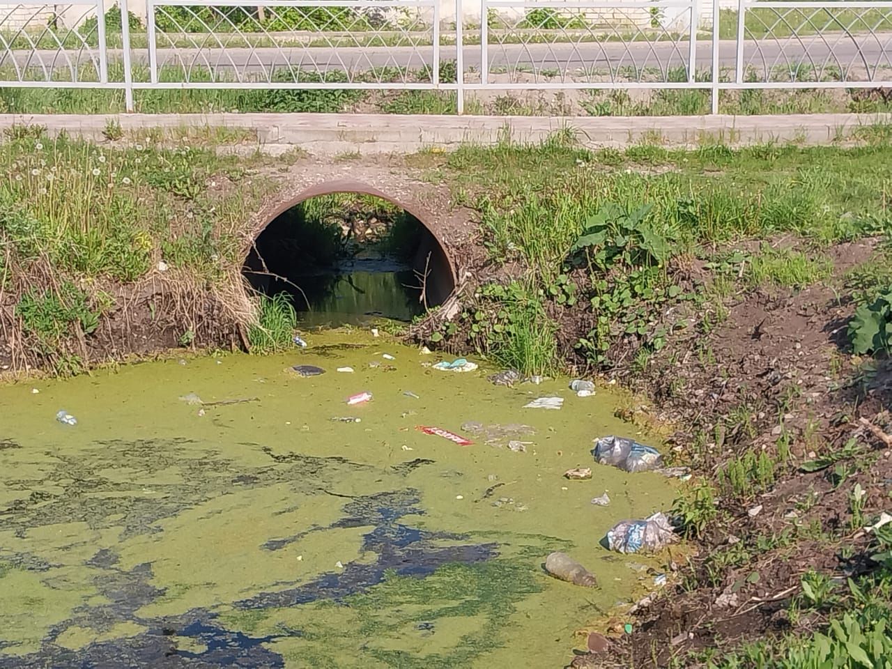 В Буинске в дренажный канал сливают канализационные  воды (+фото)