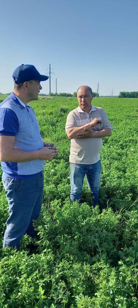 В Буинске начался сенокос