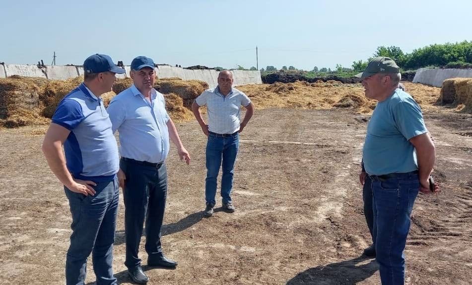 В Буинске начался сенокос