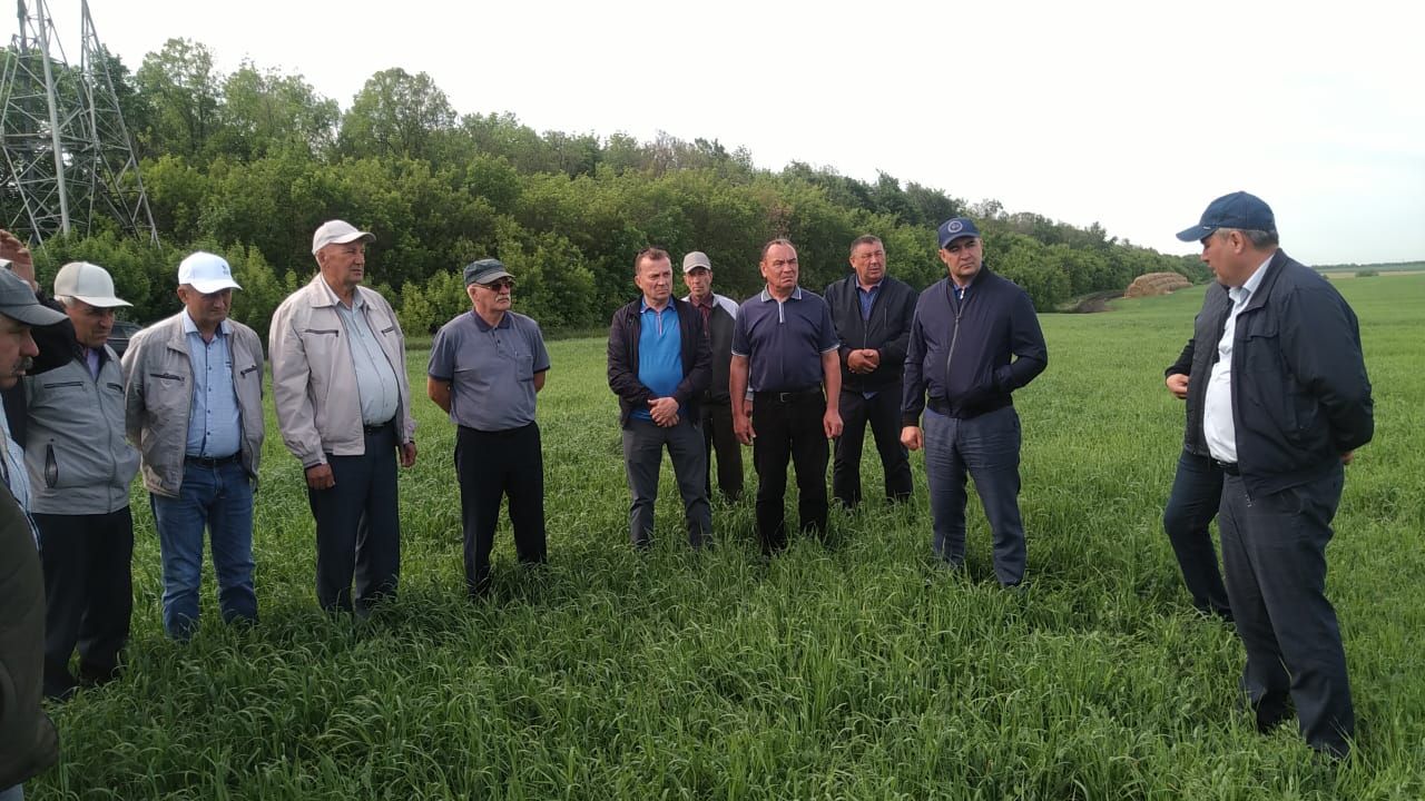 В Буинском районе продолжается приемка полей (ВИДЕО)