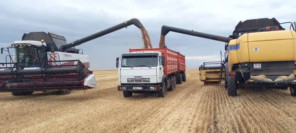 Буа аграрийлары: «Коры елда да уңыш алып була»