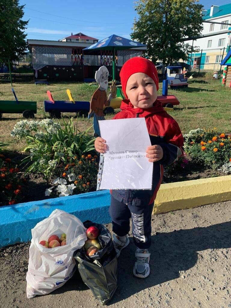 В Буинске дошкольники вырастили овощи для бойцов спецоперации