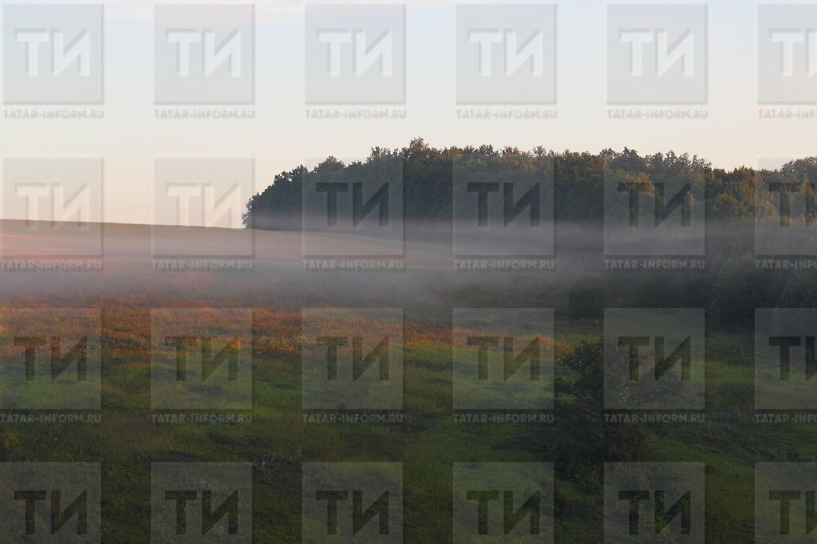 Бүген Татарстанда яңгыр һәм +21 градуска кадәр җылы булачак