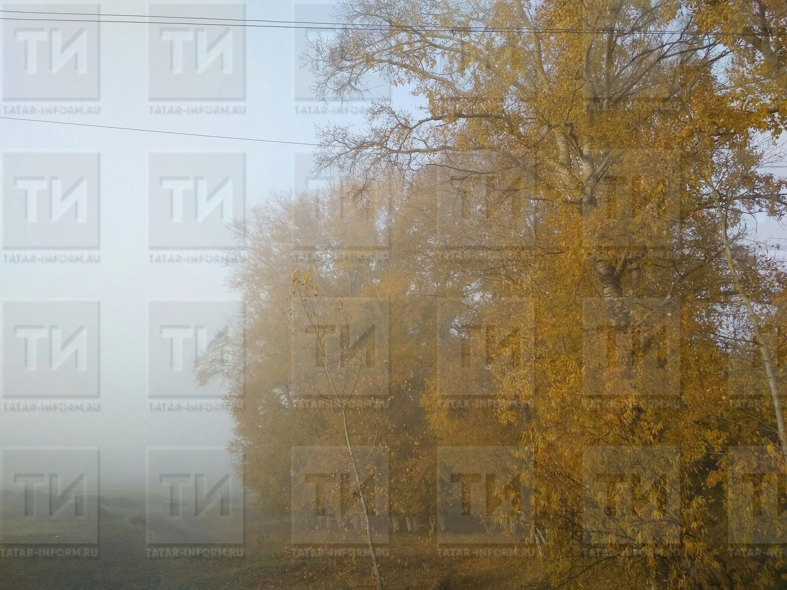 Бүген Татарстанда томан һәм +24 градуска кадәр җылы булачак