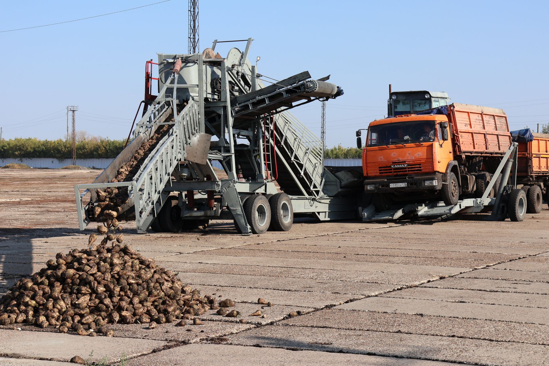 Буинский сахарный завод открыл сезон
