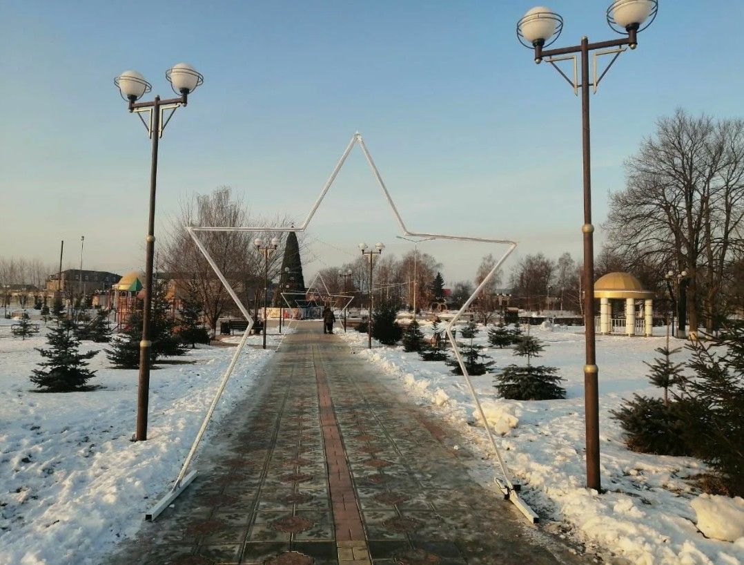 Определены два входа в парк «Центральный»  Буинска