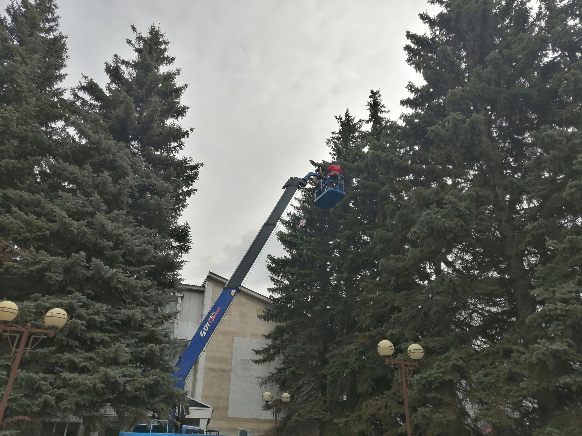 В Буинске производят омолаживающую обрезку деревьев. Сегодня для работников коммунального хозяйства мастер класс проводил заслуженный лесовод РФ Харис Мусин (фото, видео)