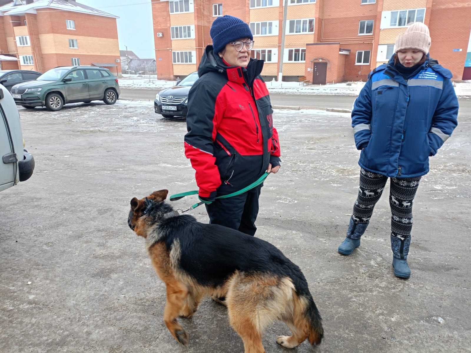 В Буинске начали чипирование собак