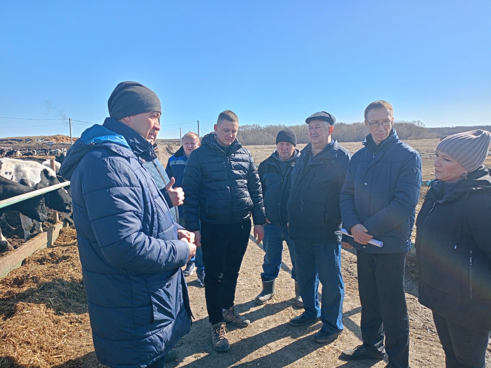 Буа районы фермаларына токымлы таналар кайтартылды